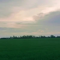 Tác giả