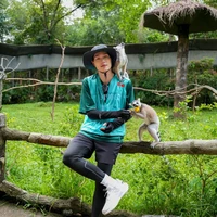 dương domic