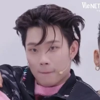 dương domic