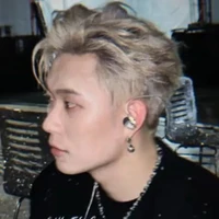 dương domic