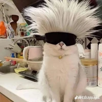 t/g tẻn tẻn