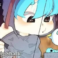 bigshak