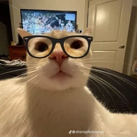 anh bạn nhìu chuyện