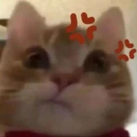 cà chua 🍅