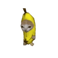 Quân đoàn lì