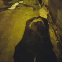 Hệ thống - t/giả