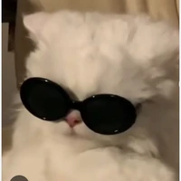 tôi