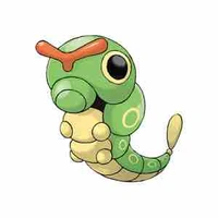 Caterpie