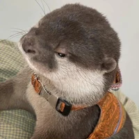 Quang Anh - lúc nhỏ