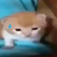 mọi người ở đó