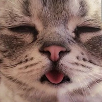 con giật tóc mày