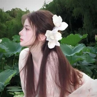Trương Hạ An