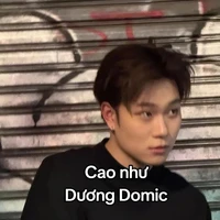 Trần Đăng Dương (Dương Domic)