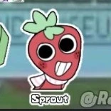 sprout