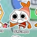 shrimpo