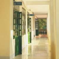 Cả lớp