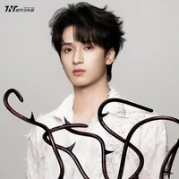 Nghiêm Hạo Tường(anh)