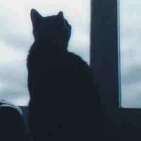 Sleepy Sheep 🐑 💤 