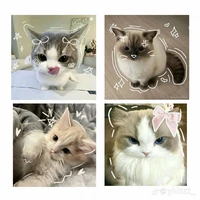 _ hệ thống ghe đc tiếng lòng _