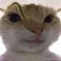 hệ thống depzai nhất thế giới🥰(Ht chủ)