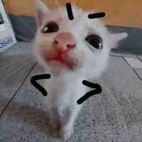 Cừu có cánh~(t/g)