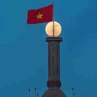 Tác giả