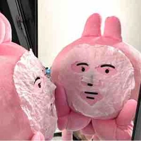 t/g 𝘛𝘨𝘢𝘯𝘩 