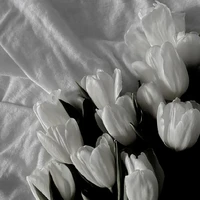 Cặp Đôi Tử Thần