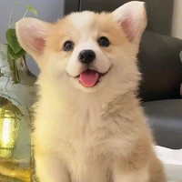 Maru