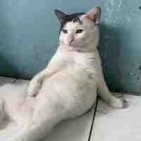 T/g đẹp zai siêu cấp vũ chụ