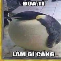 Cả đám 🤑🤑trừ ai kệ tôi