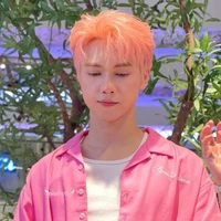 Nguyễn Thái Sơn ( jsol)