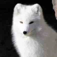 Hệ thống [ Linny ]