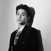 Phạm Đình Thái Ngân