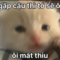 hệ_thống/Yin_🐟🤑/