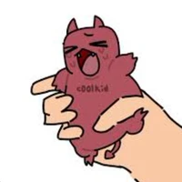 C00DKID 🔴