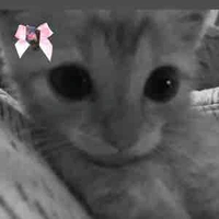 T/g đzai số1 thgioi