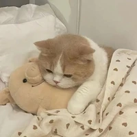 🧊 Kẻ lạnh lùng