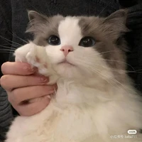 💉bác sĩ quốc dân