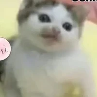 đth khổ nhất tg