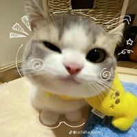 Suri / vk tác dả