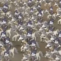 ？？？