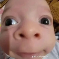 Con hệ thống Erix👽