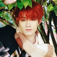 Tô Tân Hạo –em