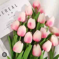 Yêu hoa 🌷 (Quang Anh)