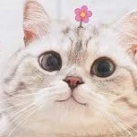 tổng tàik bị khùng