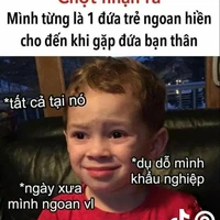 Cả lớp