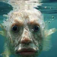 Cá khổ nhất thế giới 😈