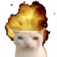tác giả