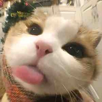 Xoài chấm mắm tôm